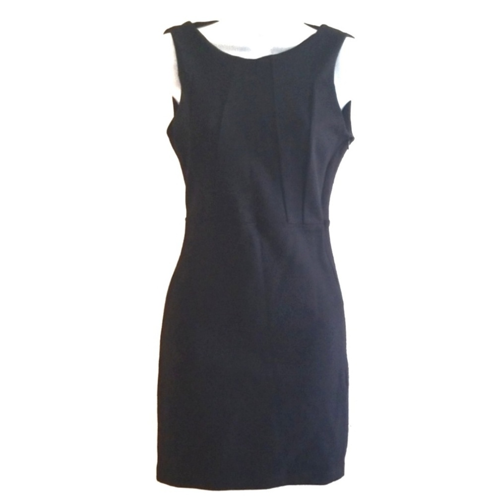 Zara Trafaluc Black Form Fitting Mini Dress
